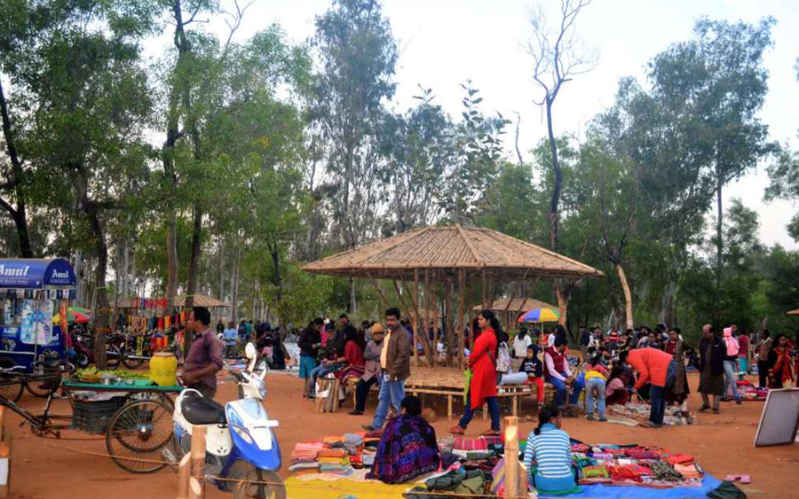 Sonajhuri Forest & Khoai Haat​