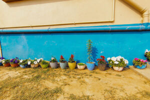 Garden Megh Balika
